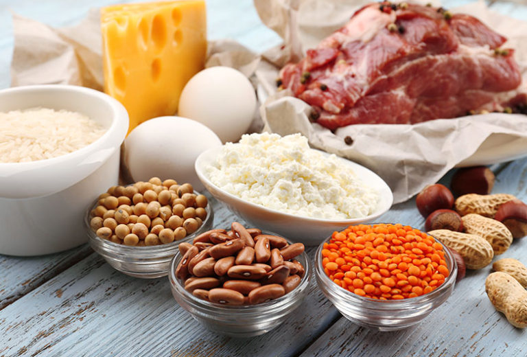 life-s-building-blocks-protein